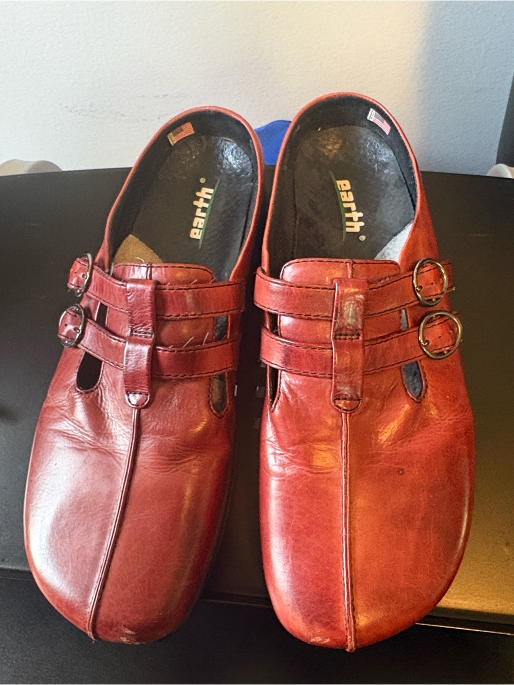 Earth Dharma Red Leather Clogs
